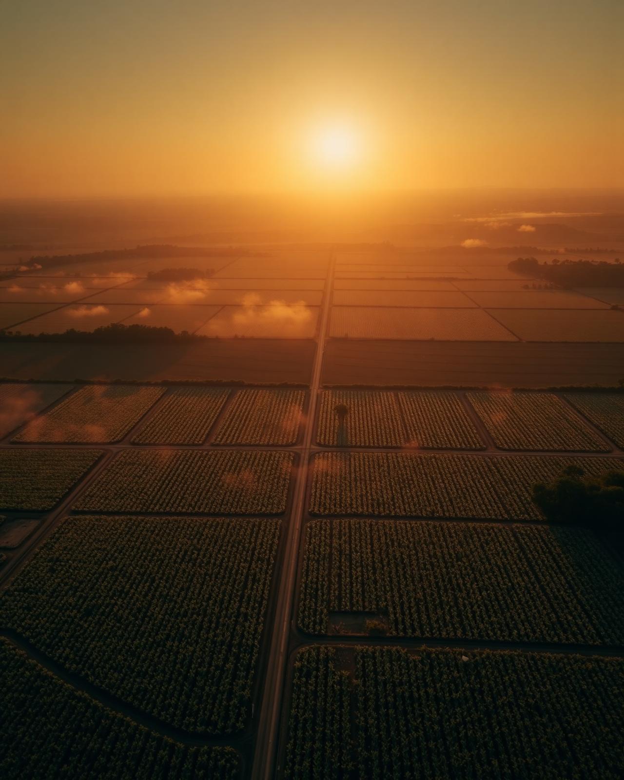 Vista aérea de propriedade agrícola brasileira ao amanhecer